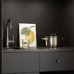 Numa Savi